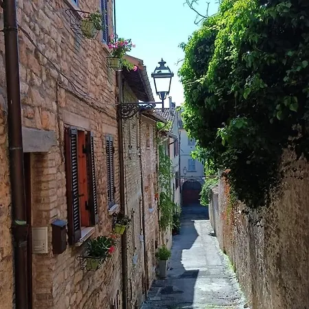 Il Vicolo Cagli